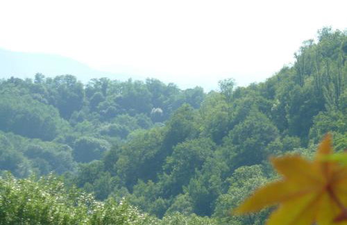 Le Logis d'Hortense - Foto 6
