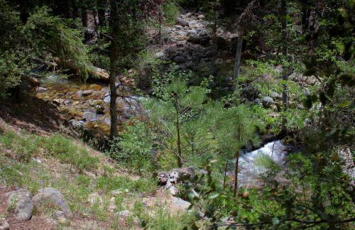 Rivercrest Lodge with Hot Tub-Pool Table-Firepit - Foto 46