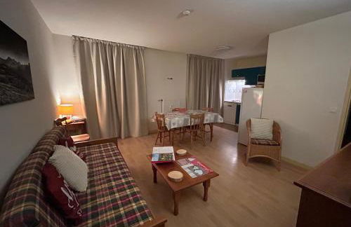 Grand appartement hyper centre haut standing - Foto 28