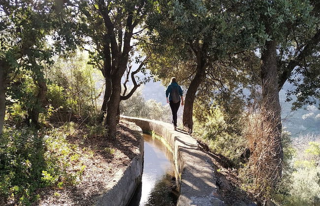 Casa Rural Arroyo de la Greda - Photo 28