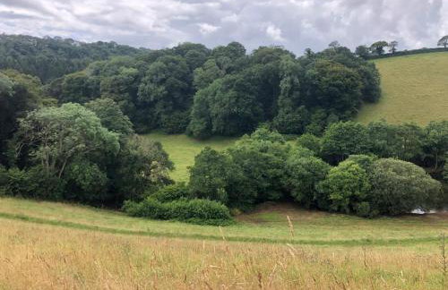 1 Bed in Trehunist oc-chretr - Foto 18