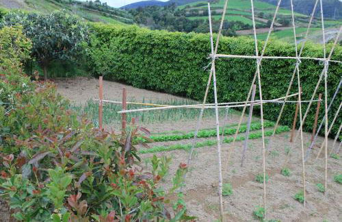 Quinta da Pavoa - Cottage House - Photo 54