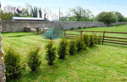 Poppy Cottage - Foto 13