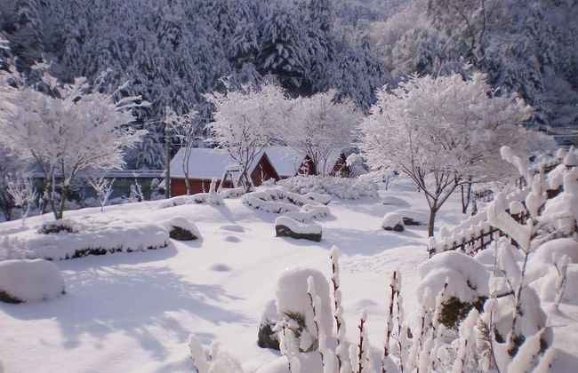 S & J Pension - Foto 62