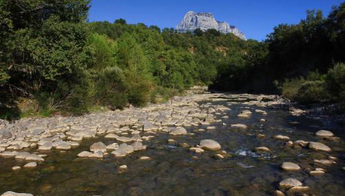 Puerta de Ordesa Garden - Photo 5
