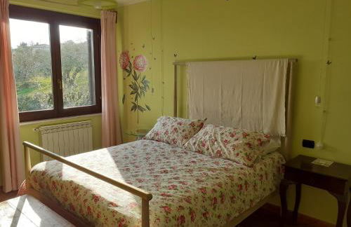 VILLETTA TRA GLI ULIVI - Foto 8