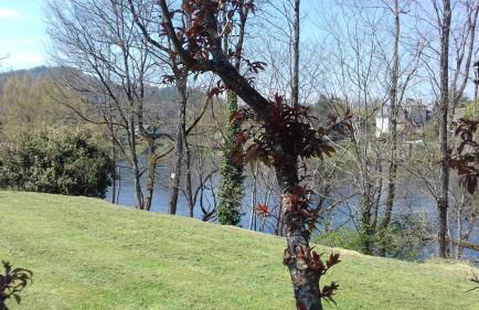 Maison tout confort avec piscine chauffée au bord des rives de la Dordogne - Foto 30