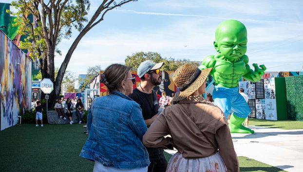 Tour the must-see parts of the area