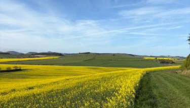 Stewards Cottage - Foto 3