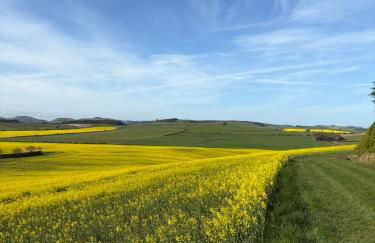 Stewards Cottage - Foto 3