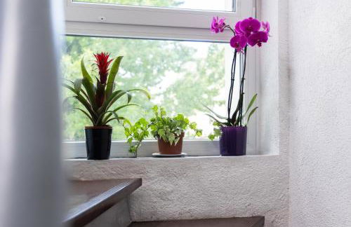 Nord-Apartment 7 I 2 Zimmer mit Fußbodenheizung, Bettwäsche & WLAN - Photo 17