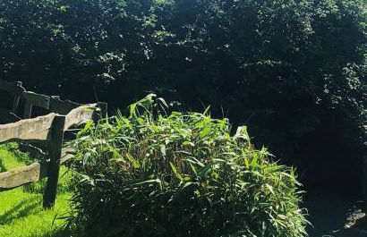 Le Gîte au bord de la Forêt - Foto 29