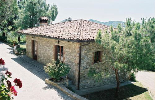 Agriturismo Il Monte - Piscina tra gli Ulivi, Maneggio con Cavalli e WIFI - Foto 18