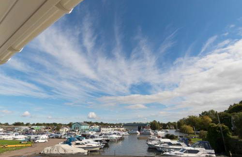 Bewick Swan - Ukc2111 - Photo 1