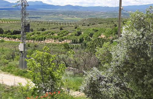 Casa Rural Garnacha de Borja has a Barbacue and Terrace - Foto 131