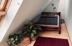 Sunlit Maisonette by the Alster - Photo 23