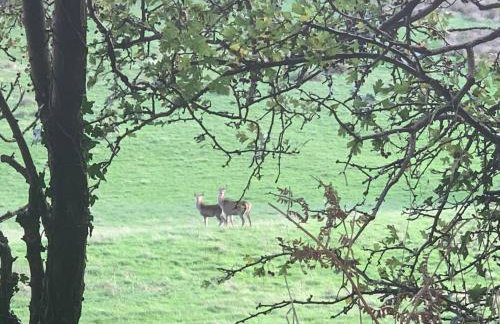 Close to beaches and golf courses - Foto 19