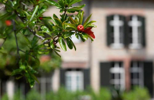 Villa Rappis - Foto 19