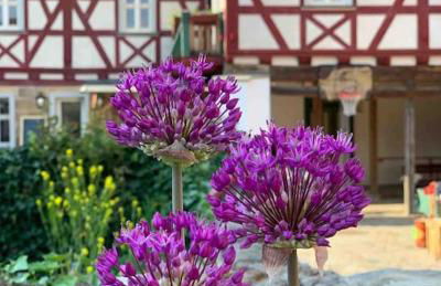 Lovely room in a 18th century manor - Foto 40