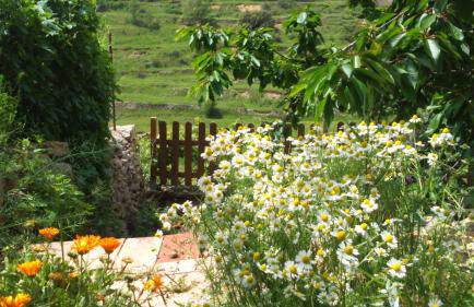Casa Rural Las Dalias con Hidromasaje - Foto 42
