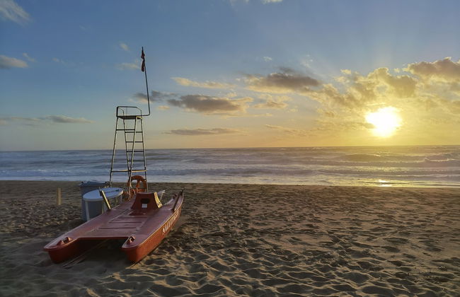 la corte degli ulivi - Foto 67