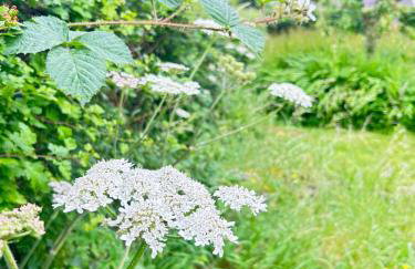 Peak District Tranquillity - Foto 36