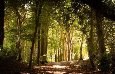 Stunning Studio Barn - Foto 7