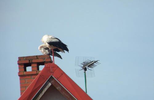 Agroturystyka RANCZO na Mazurach - Foto 11