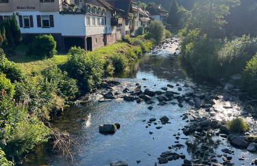 Murgtal Traum Apartment Schwarzwald - Foto 1