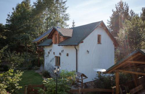 Domek Wiejski w Skarlance - Foto 17