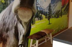 ALMI - Alpenglück Traumhafte Whg.m.20qm Dachterr. - Foto 10