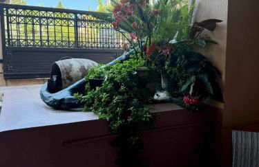 Speranza's Sweet Home - Photo 32