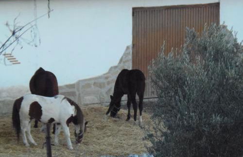 Cortijo Moyano - Photo 44