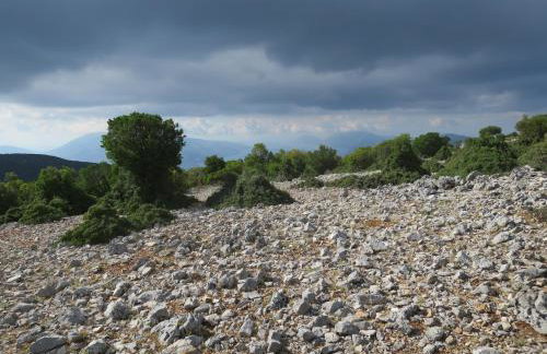 Villa Fotini - Foto 49