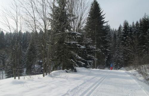 Apartments Josef Seitz - Foto 39