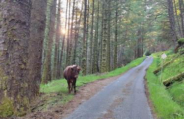 Twin Deer Lodge - Foto 55