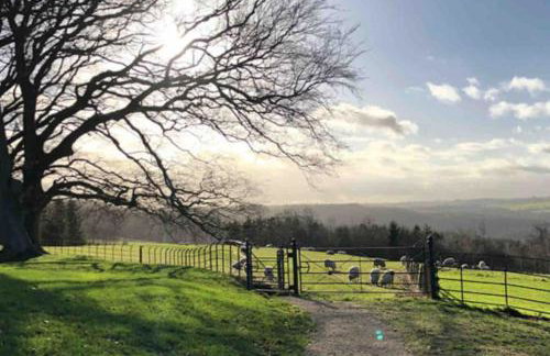 Little Monks Suite - Foto 28