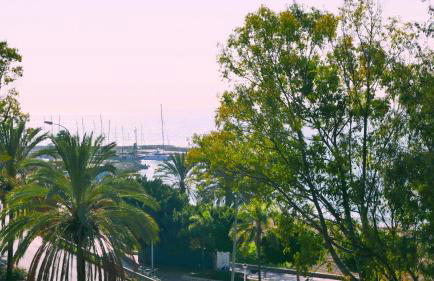 MálagadeVacaciones - Thiele - Foto 6