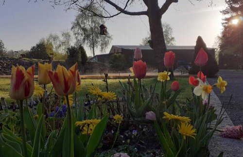 Poggenhagen Urlaub mitten in der Natur - Foto 17