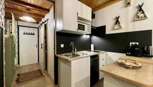 Le Sirac, T3 au pied des pistes de Chaillol - Foto 2, stove, dishwasher, minibar