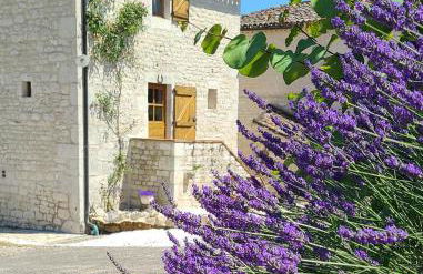 Gite de Calvet - Foto 13