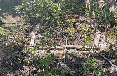 Casinha da Horta com Jacuzzi - Foto 32