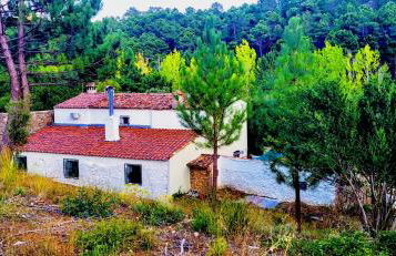 Cortijo de las cañadas - Foto 40