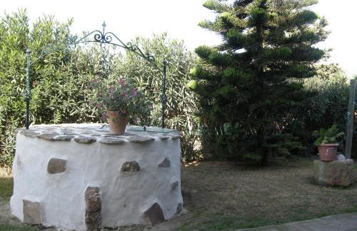 El Rancho - Photo 63