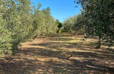Domaine Punta della Guardia villa panorama maquis et mer, plage à 1,5 Km - Foto 25