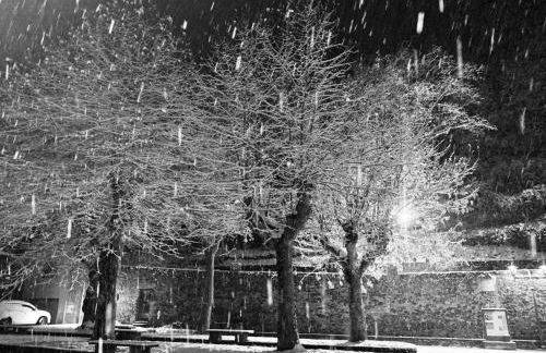 Al Campanile - Valtellina - 15 min da Bernina Express - Foto 23