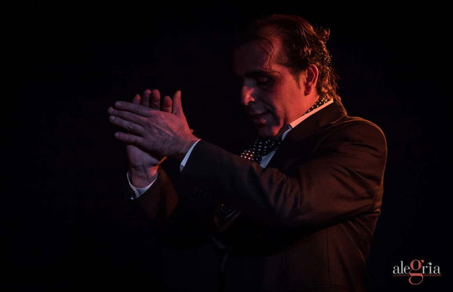 Espetáculo de flamenco no Alegría - Foto 5