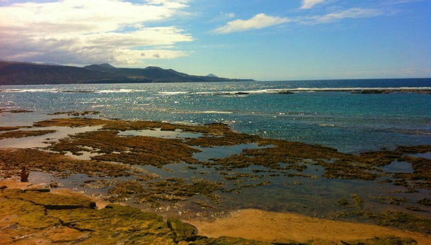 Miami Santa Catalina - Foto 2