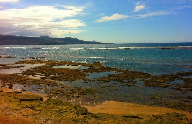 Miami Santa Catalina - Foto 2