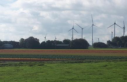 Ferienhof Martens - Foto 8